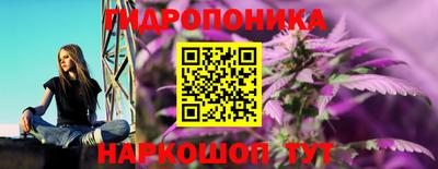 мяу мяу мука Кулебаки