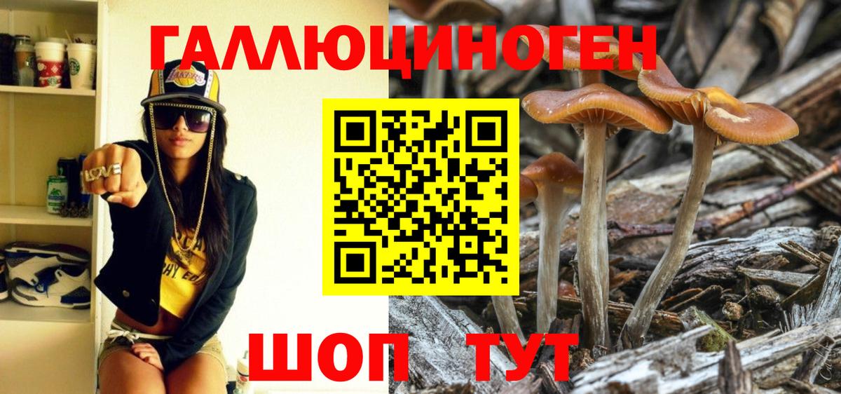 Галлюциногенные грибы ЛСД Горячий Ключ