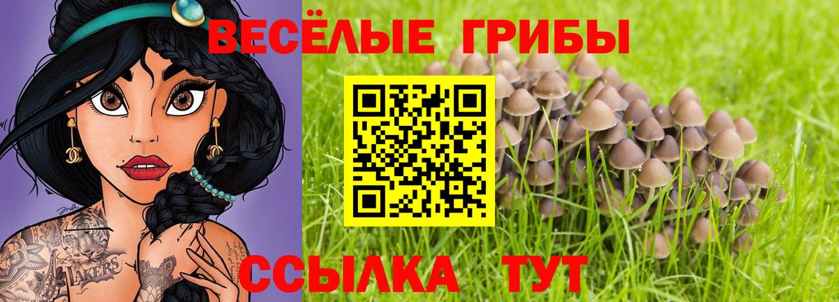 Галлюциногенные грибы мухоморы  Вход с VPN  Горячий Ключ 